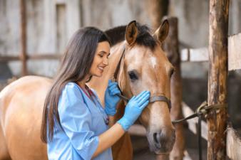 Una mujer con bata veterinaria acariciando a un caballo.