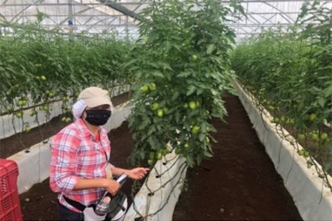 FDA inspects produce grower in Mexico