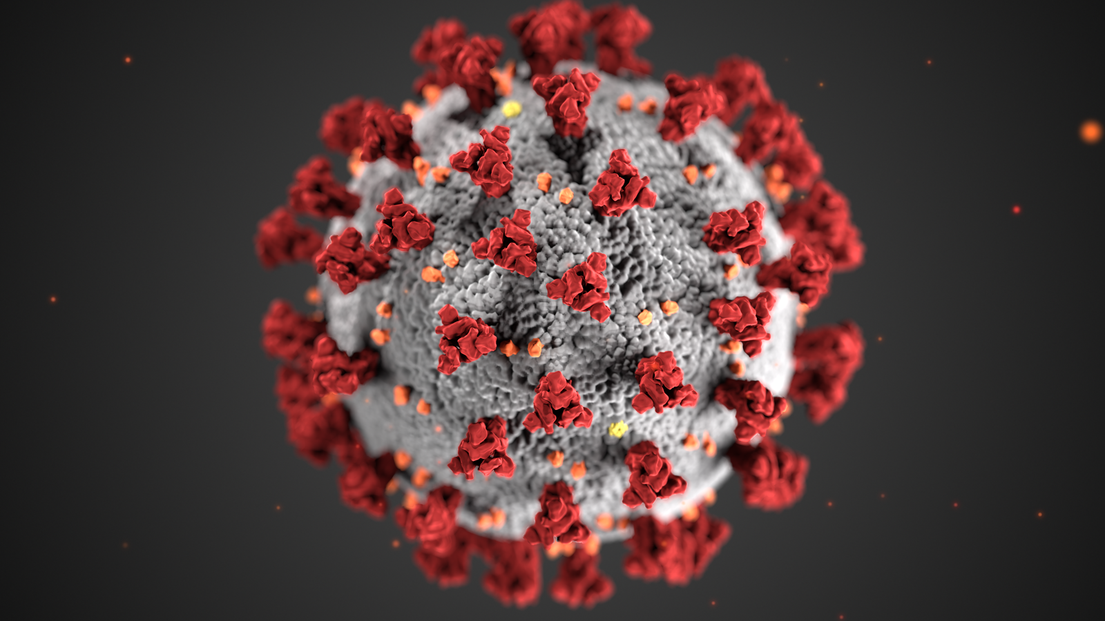 This illustration, created at the Centers for Disease Control and Prevention (CDC), reveals ultrastructural morphology exhibited by coronaviruses. Note the spikes that adorn the outer surface of the virus, which impart the look of a corona surrounding the virion, when viewed electron microscopically. A novel coronavirus, named Severe Acute Respiratory Syndrome Coronavirus 2 (SARS-CoV-2), was identified as the cause of an outbreak of respiratory illness named coronavirus disease 2019 (COVID-19).