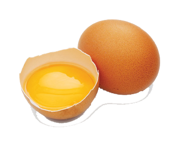 Egg Split In Halfe