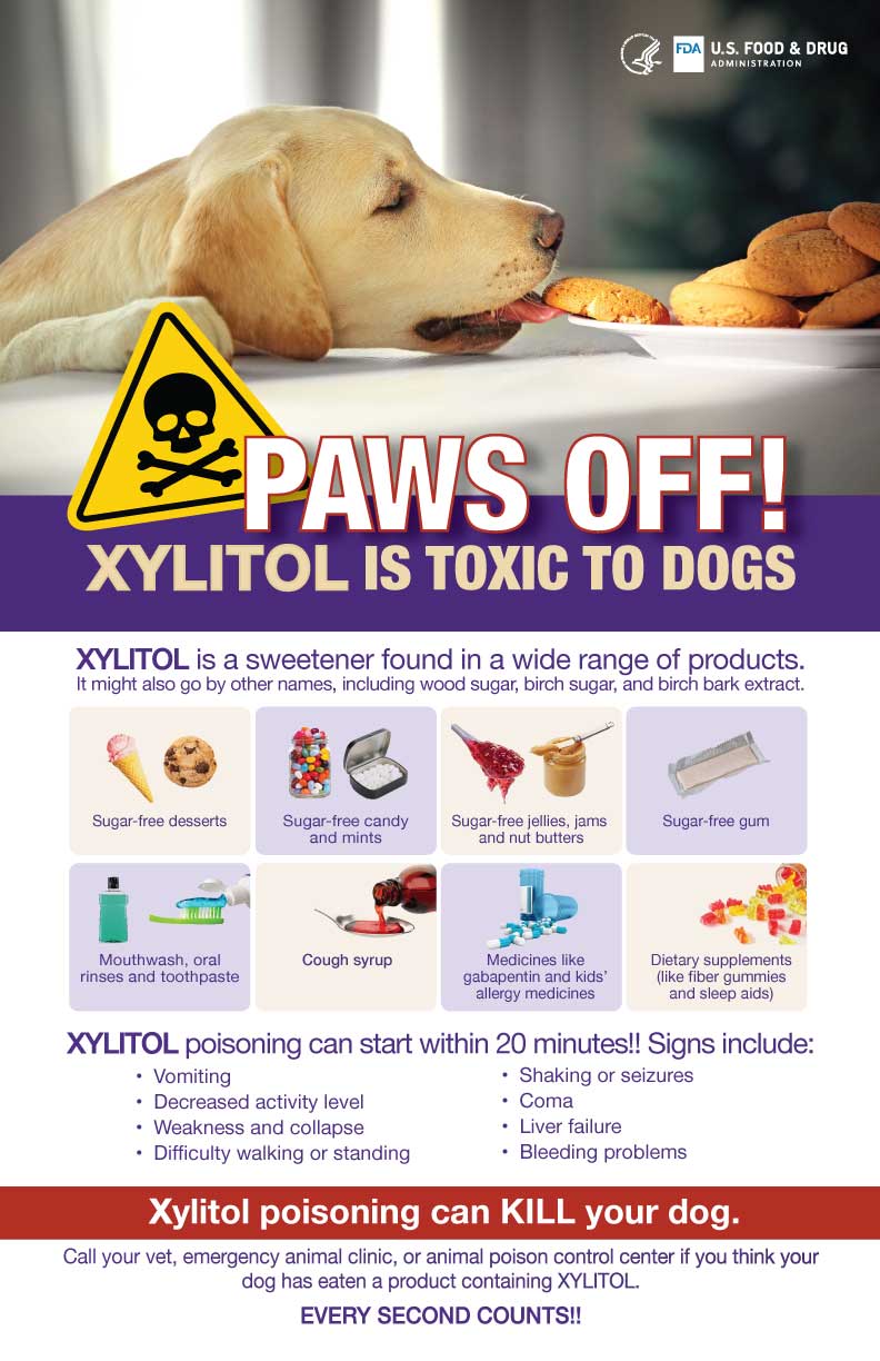 PAWS OFF - Xylitol is Toxic to Dogs poster