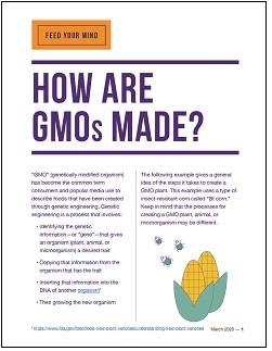How Are GMOs Made?