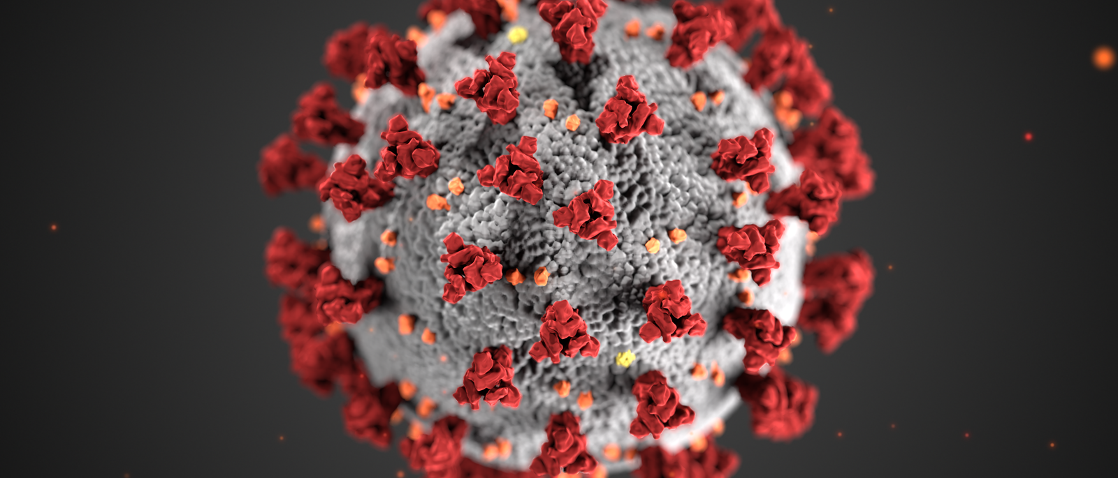 This illustration, created at the Centers for Disease Control and Prevention (CDC), reveals ultrastructural morphology exhibited by coronaviruses. Note the spikes that adorn the outer surface of the virus, which impart the look of a corona surrounding the virion, when viewed electron microscopically. A novel coronavirus, named Severe Acute Respiratory Syndrome Coronavirus 2 (SARS-CoV-2), was identified as the cause of an outbreak of respiratory illness named coronavirus disease 2019 (COVID-19).
