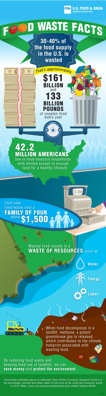 Food Waste Facts (Infographic)
