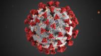 Coronavirus illustration. Coronavirus COVID-19 Tests.