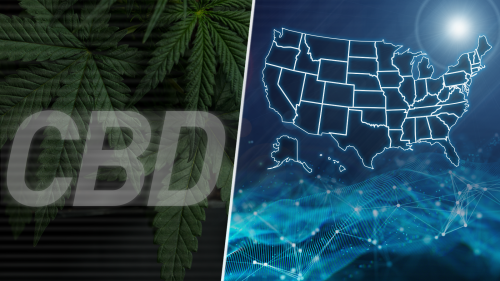 conceptual montage including marijuana leaves, the acronym "CBD" and a map of the United States against a dark blue background with a wavy mesh pattern, a network of white dots connected by white lines and a bright burst of light as if from a star or the sun