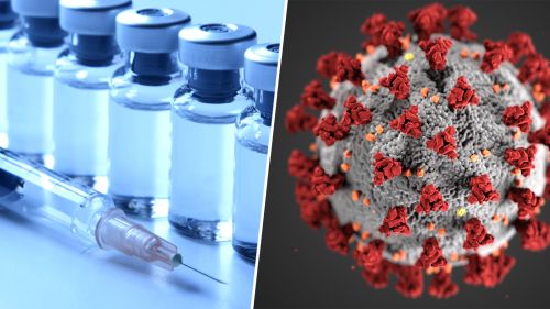 collage of two photos showing vaccine vials and a syringe on the left and a 3D illustration of the coronavirus (SARS-CoV-2) on the right