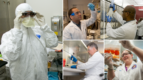 five photos showing scientists working in labs use various personal protective equipment