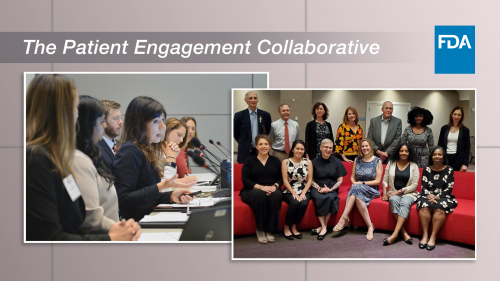 Image that depicts a photo of a panel discussion on the left, and a group photo of the Patient Engagement Collaborative participants