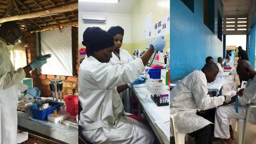Researchers process biological samples collected from Ebola survivors in DRC (left two images), and a lab technician collects a blood sample from an Ebola survivor. (Images: UCLA)