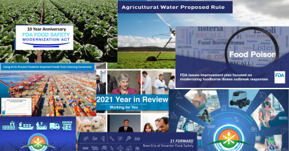 Collage of various screen shots of FDA's food program accomplishments