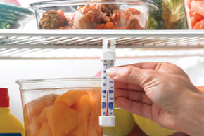 Thermometer in refrigerator 