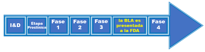 Este gráfico utiliza una flecha para ilustrar el Proceso de Aprobación de una Vacuna que comienza con I&D, pasa a la fase preclínica, la fase 1, 2, y 3, luego la BLA es presentada a la FDA, y finaliza con la fase 4 