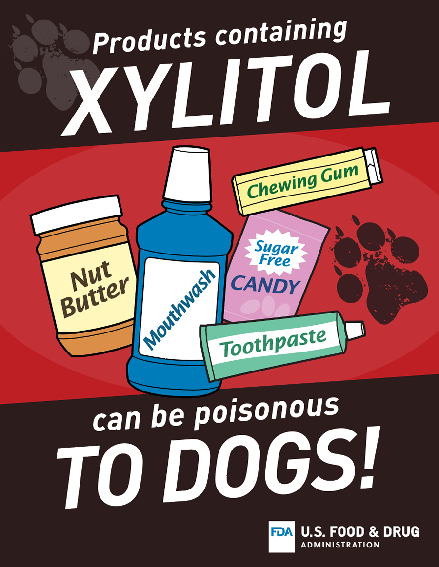 Graphic with illustrations of nut butter, mouthwash, chewing gum, candy and toothpaste, and text that reads: Products containing Xylitol can be poisonous to dogs!