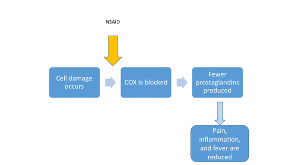 Schematic showing that many NSAIDs work by blocking COX: Cell damage occurs - NSAID blocks the enzyme COX - The damaged cell produces fewer prostaglandins - Pain, inflammation, and fever are reduced.