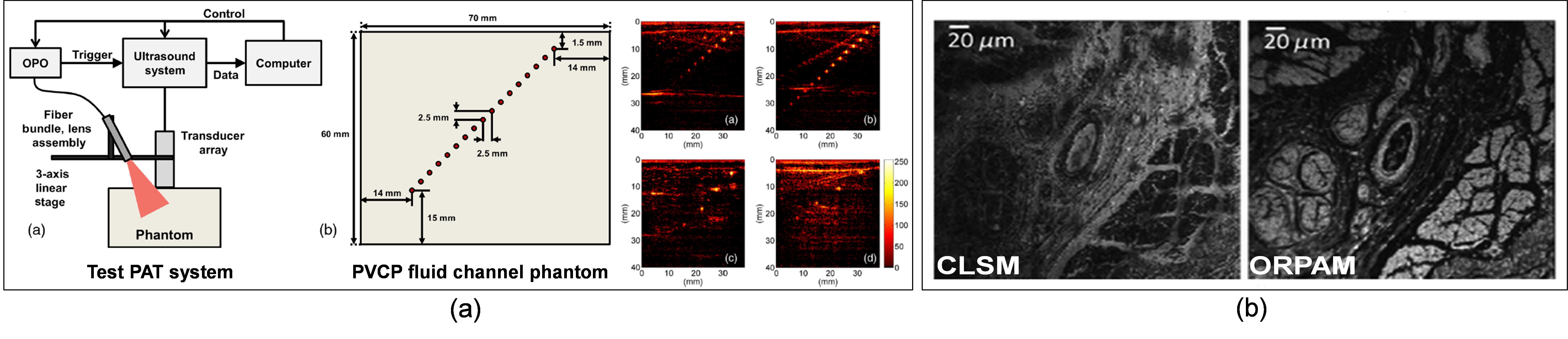 Figure 3: Switching patterns in Sentinel