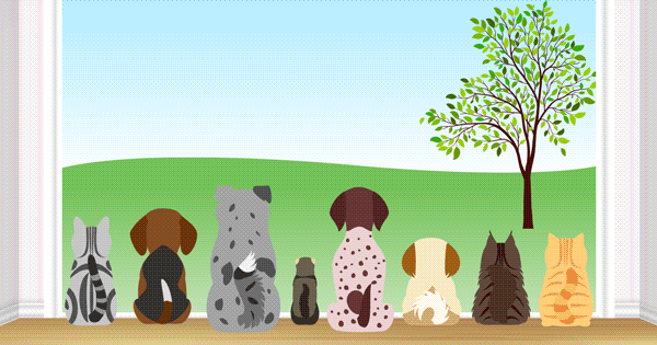 Heartworm Prevention Year-Round Animation (600x315)