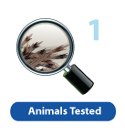 Animal Testing Icon