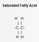 Saturated Fatty Acid Structure
