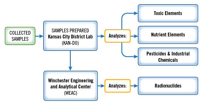 The samples that have been collected go to FDA's Kansas City District lab, where all of the samples are prepared for analysis.  Portions of the samples of the various foods are then analyzed on-site for toxic elements, nutrients, pesticides, and industrial chemicals.  Portions also go to FDA's Winchester Engineering and Analytical Center, where they are analyzed for radionuclides.