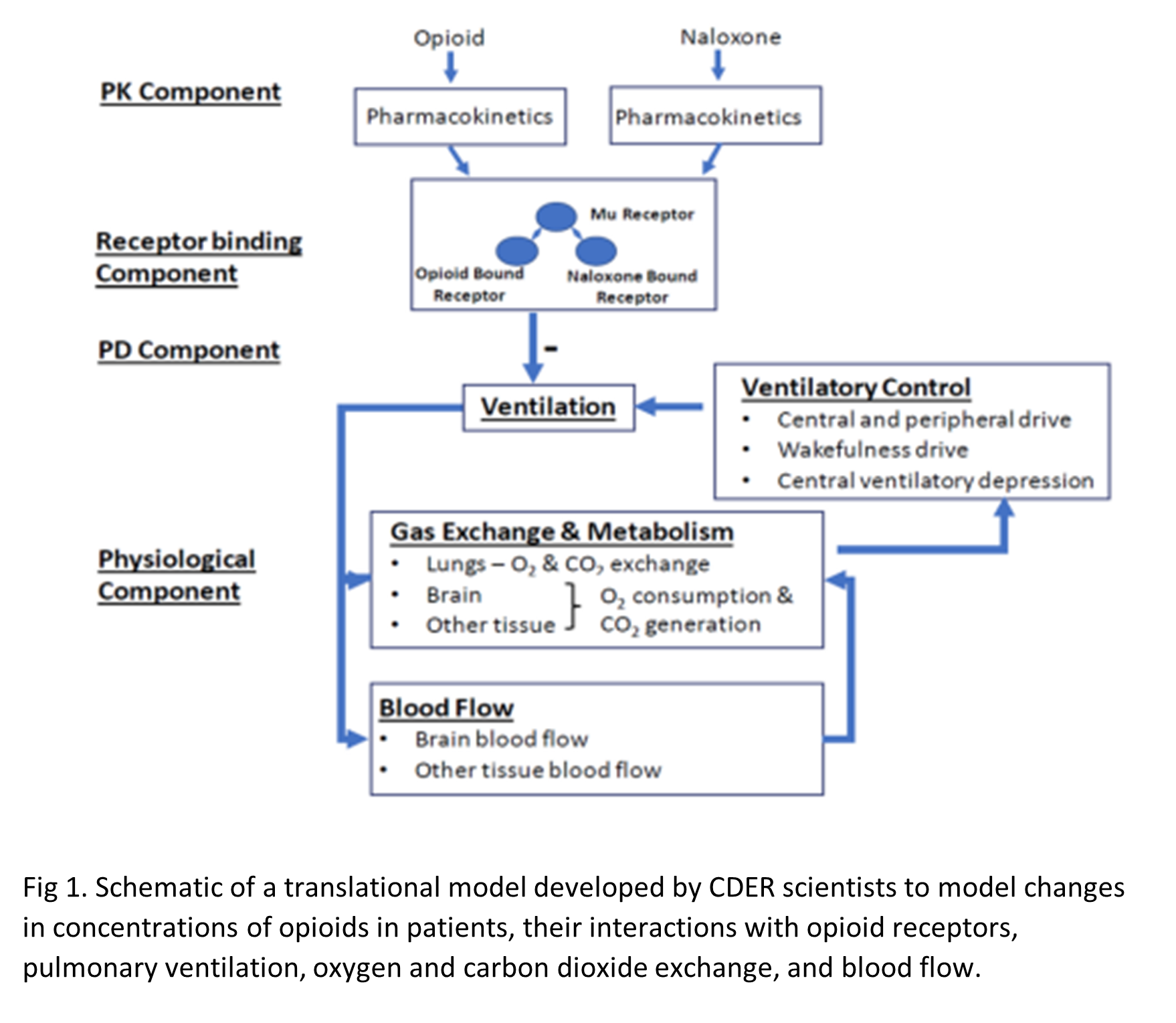 Image of Opioid Model