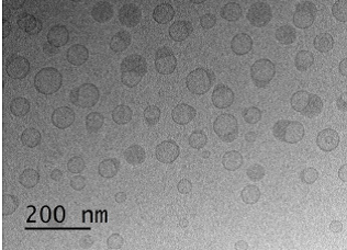 Figure 2 (courtesy of Dr. Yong Wu and Dr. Jiwen Zheng).