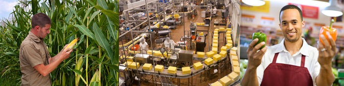 Images showing food inspector examining crop, food manufacturing site, and grocer holding fresh vegetables