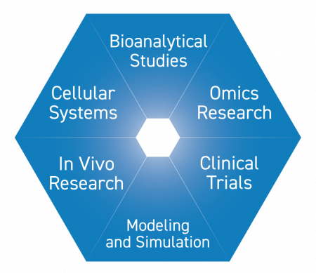 Hexagonal Shape with the words: Bioanalytical Studies, Cellular Systems, Omics Research, In Vivo Research, Clinical Trials, Modeling and Simulation
