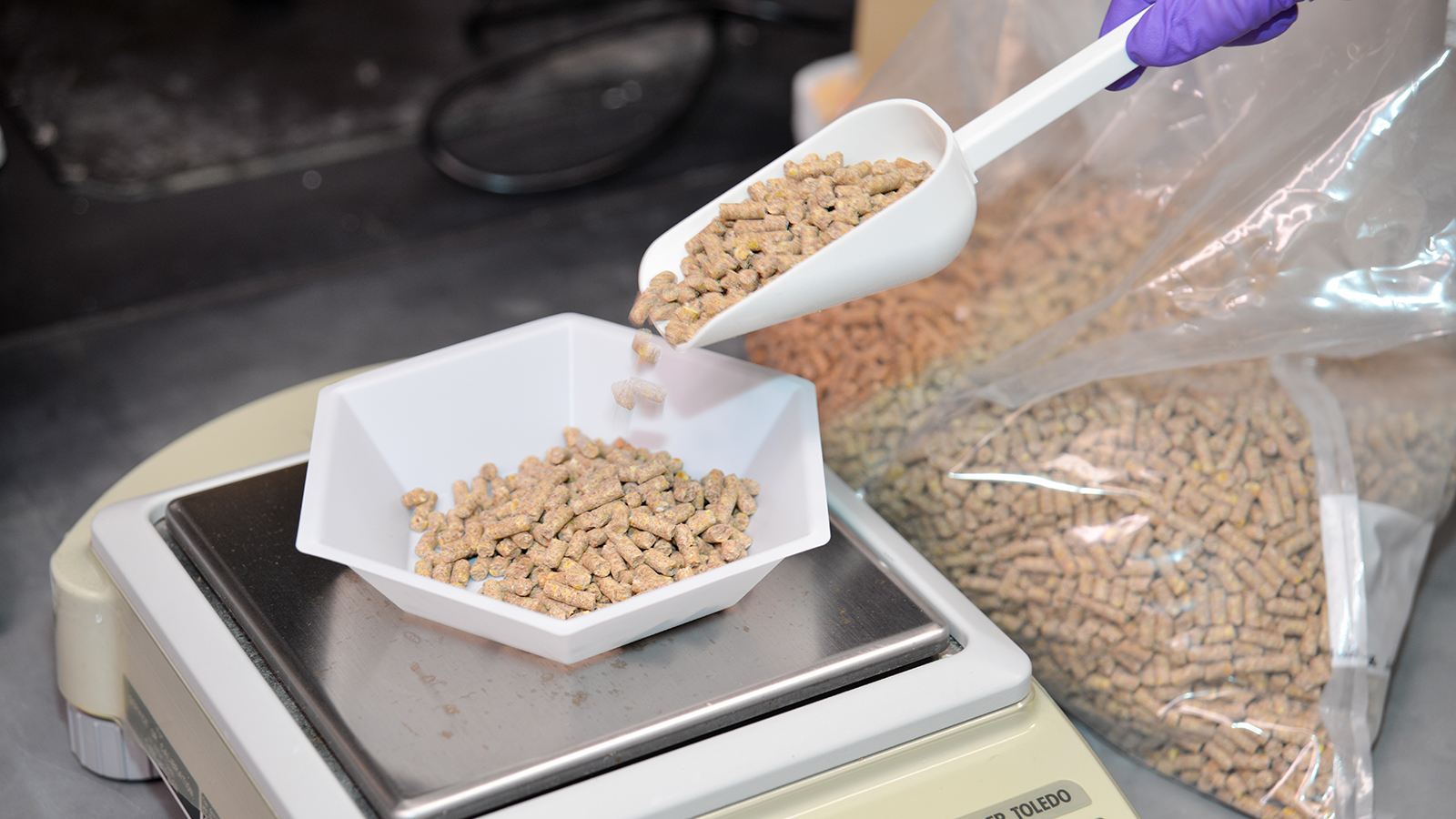 animal feed being weighed on a scale