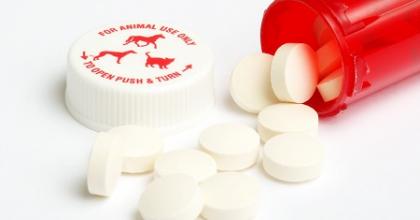 veterinary drugs