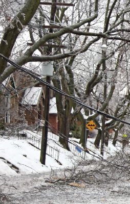 Road with Power Lines Down