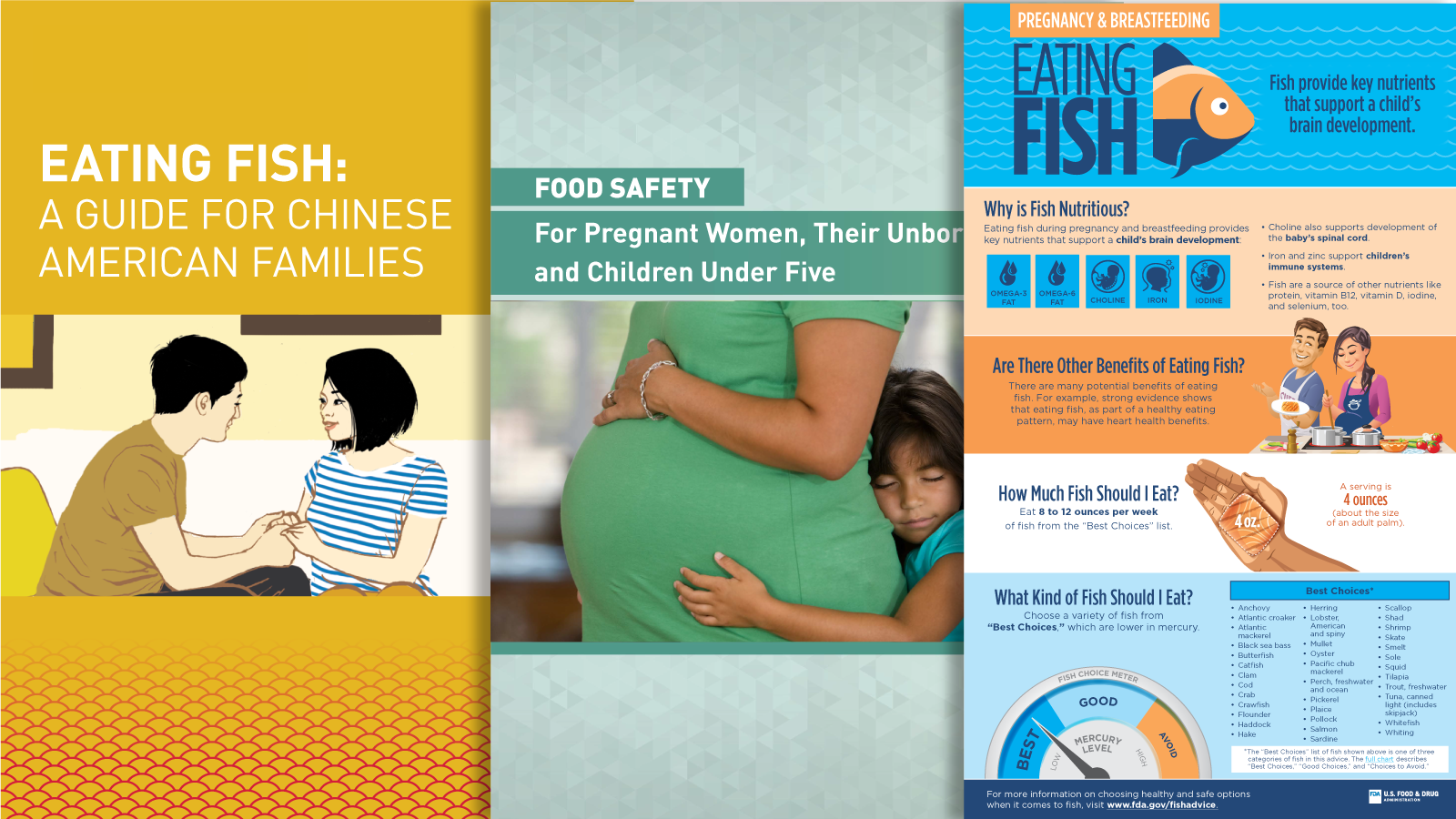 Resources for Consumers and Educators on the Advice About Eating Fish