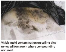 Mold contamination on ceiling tiles