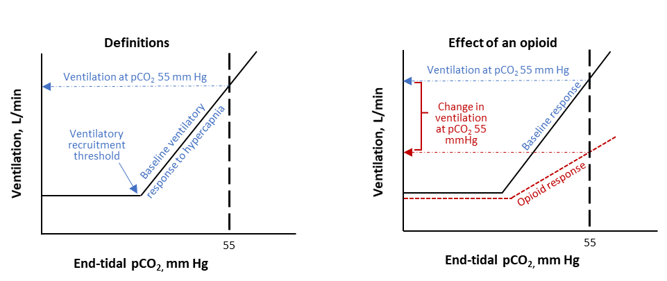 Definitions and Effect of an opioid 