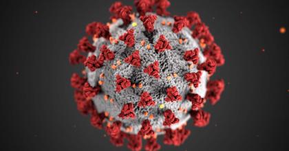 Coronavirus illustration. Coronavirus COVID-19 Tests.