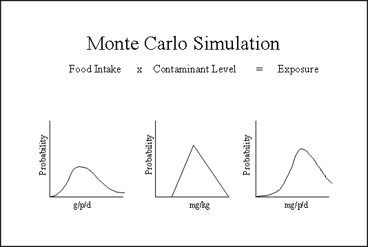 Monte Carlo Simulation