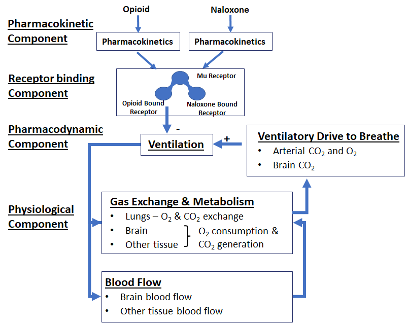 Opioid Modeling Workflow