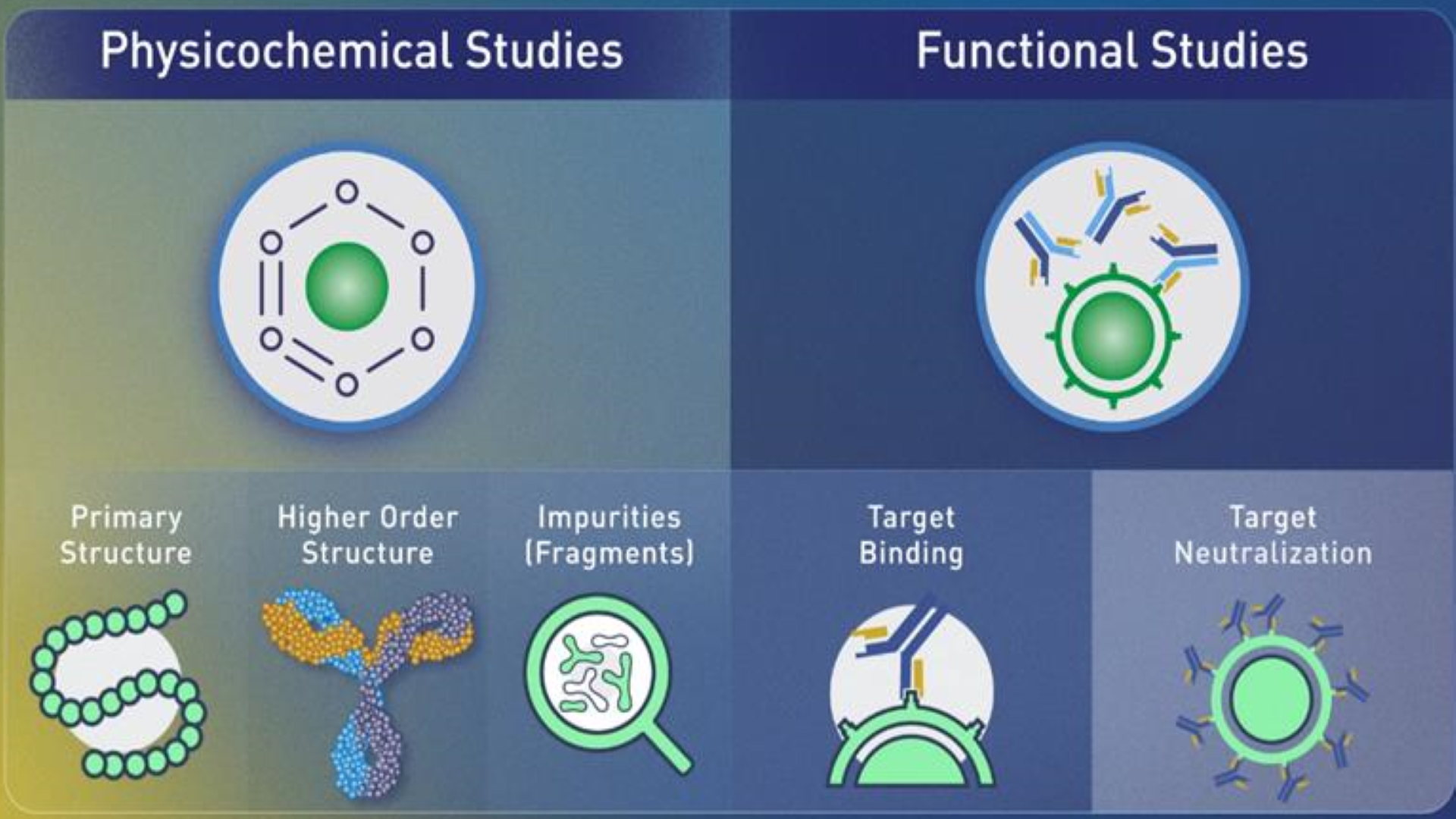 Critical Attributes and Variability - Biosimilars