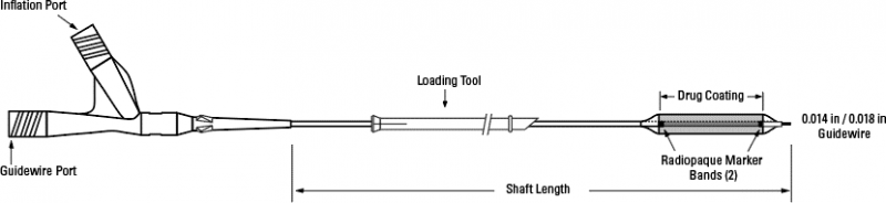 Ranger™ Paclitaxel-Coated PTA Balloon Catheter – P190019