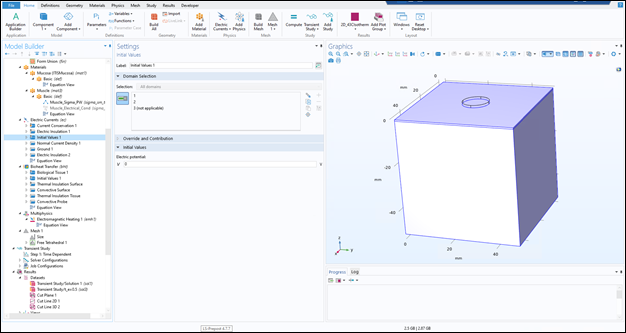 Screenshot of Assigning Boundary and Initial Condition -Initial values