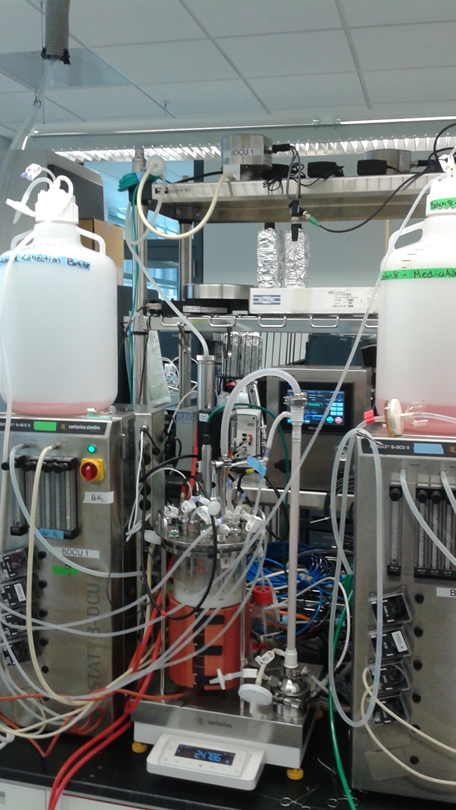 A bench-scale continuous process for biotechnology products. This model perfusion bioreactor was developed with MIT students hosted by the Office of Pharmaceutical Quality in 2016.