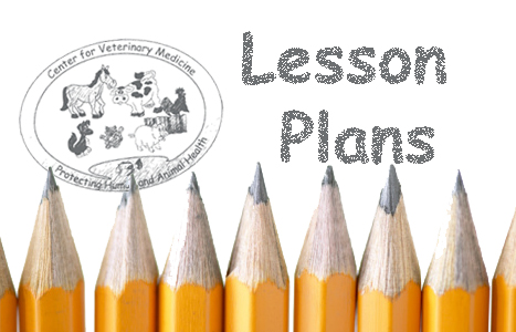 Lesson Plans