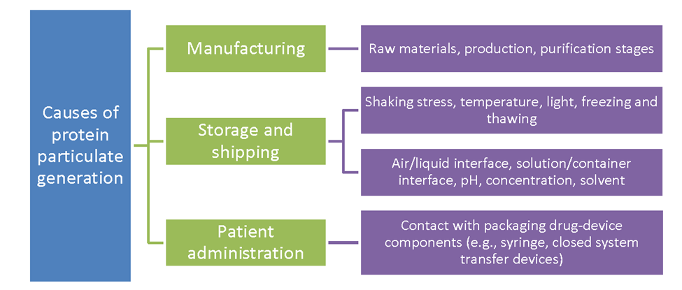 Figure 1: Schematic describing the various stresses during manufacturing, shipping, storage, and administration of protein therapeutics. The mechanisms by which particulates (e.g., aggregates) are generated can depend upon the applied stress.