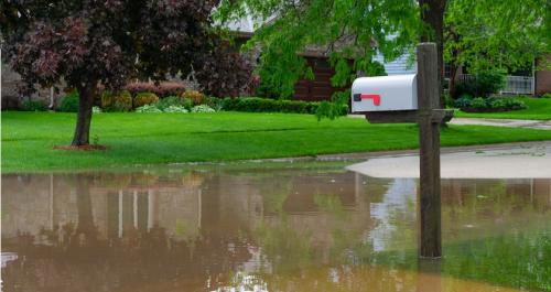 Food Safety During Floods