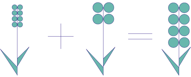 Types of Genetic Modification Methods for Crops - Traditional Crop Modification