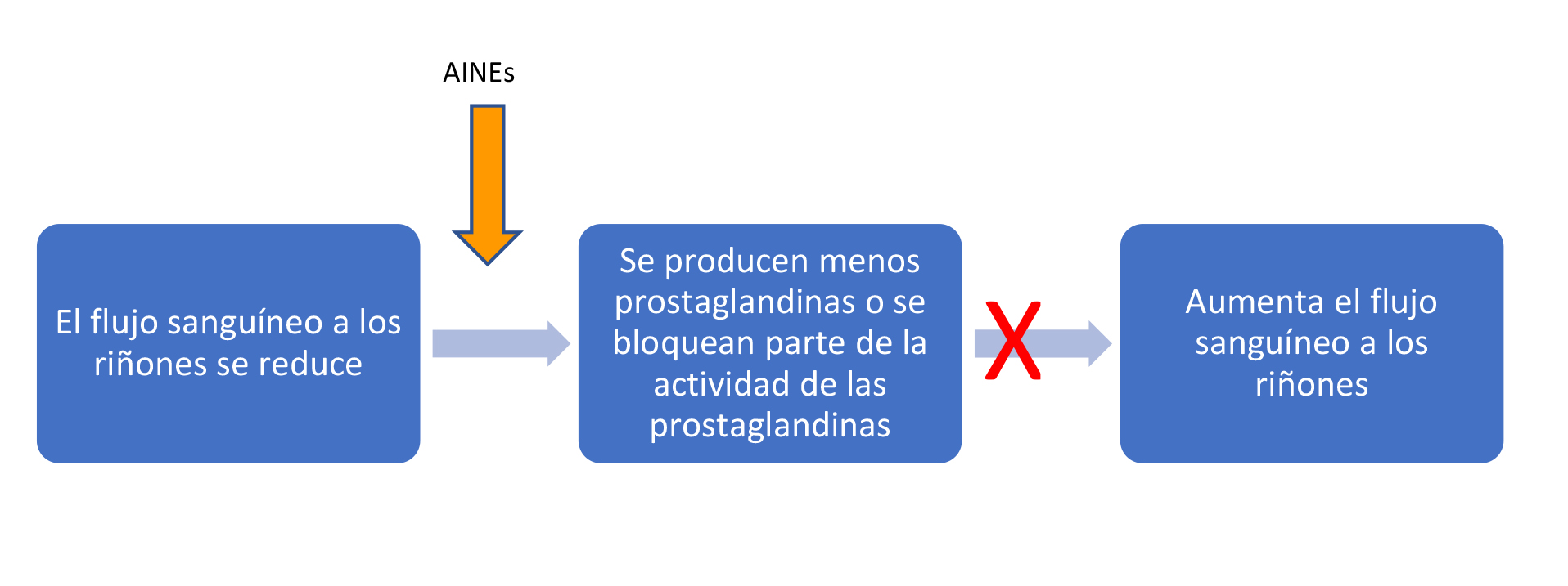 Esquema mostrando como los AINEs pueden reducir el flujo sanguíneo a los riñones. El flujo sanguíneo a los riñones se reduce -> Los AINEs causan que se produzcan menos prostaglandinas o que se bloqueen algunas de sus funciones -> El flujo sanguíneo a los riñones NO aumenta. 