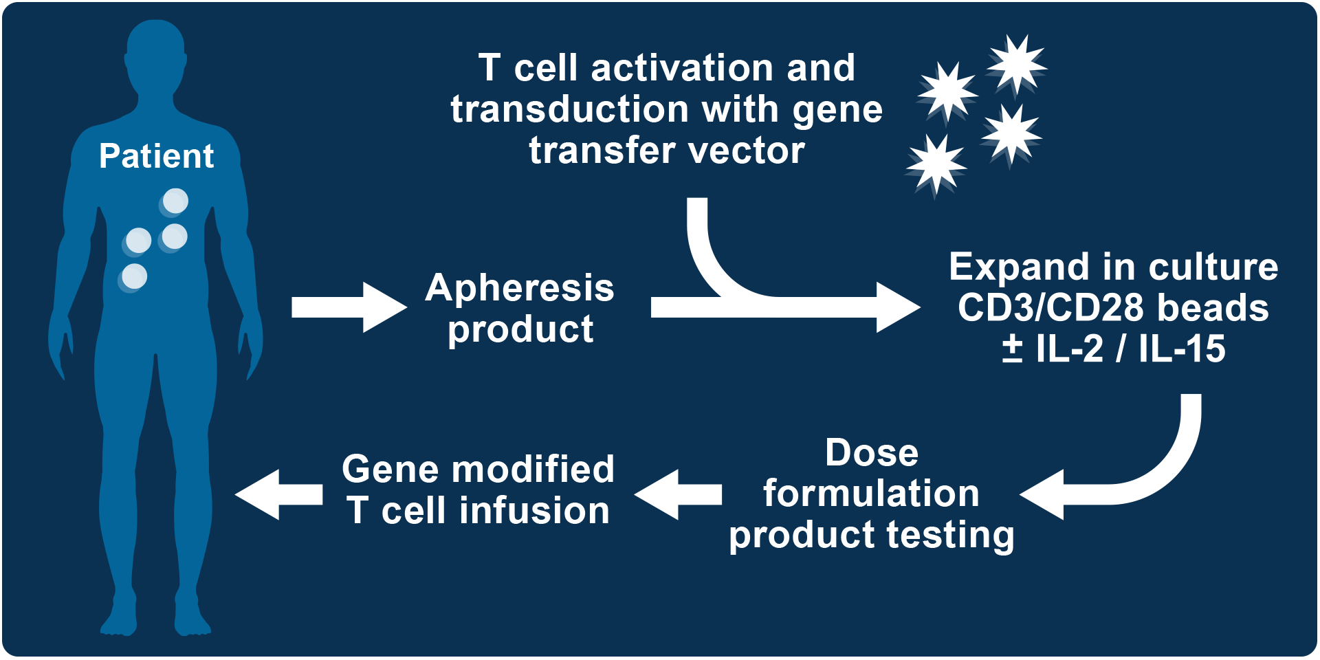 Chimeric Antigen Receptor (CAR-T) Cell Therapy Diagram