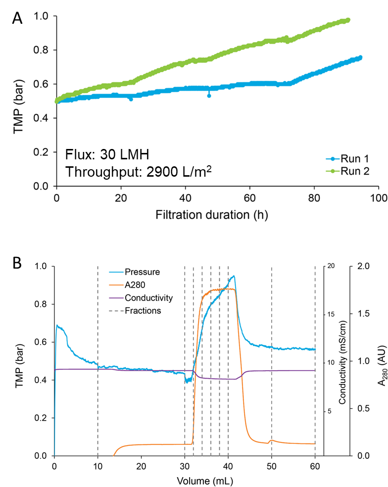 Figure 3. Representative examples of continuous virus filtration models.