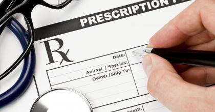 prescription form for veterinarians