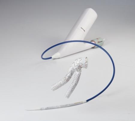 Gore® Excluder® Conformable AAA Endoprosthesis - P200030